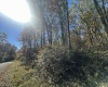 653 Pine Drive, Terra Alta, West Virginia 26764, ,Lots/land,For Sale,Pine,10162046 653 Pine Drive, Terra Alta, West Virginia 26764, ,Lots/land,For Sale,Pine,10162046
