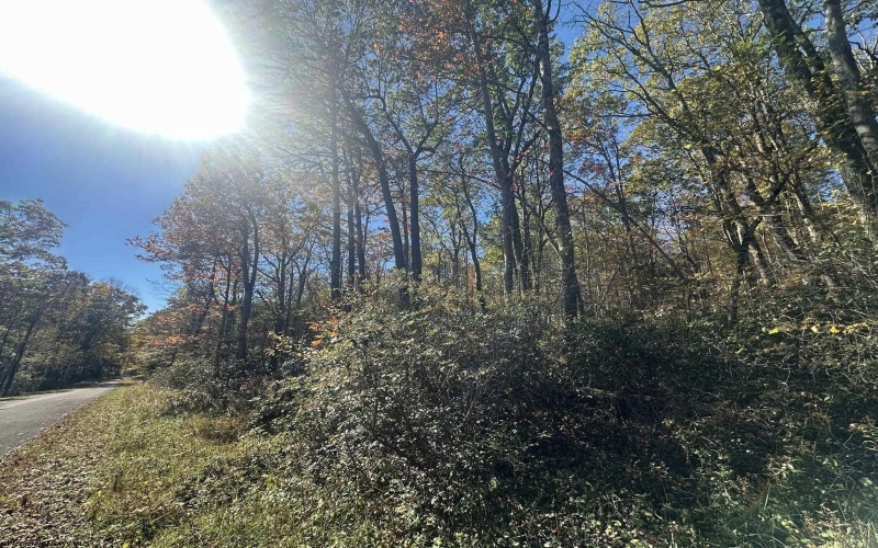 653 Pine Drive, Terra Alta, West Virginia 26764, ,Lots/land,For Sale,Pine,10162046 653 Pine Drive, Terra Alta, West Virginia 26764, ,Lots/land,For Sale,Pine,10162046