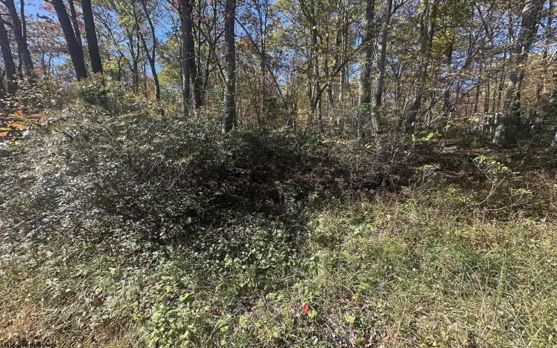 653 Pine Drive, Terra Alta, West Virginia 26764, ,Lots/land,For Sale,Pine,10162046 653 Pine Drive, Terra Alta, West Virginia 26764, ,Lots/land,For Sale,Pine,10162046