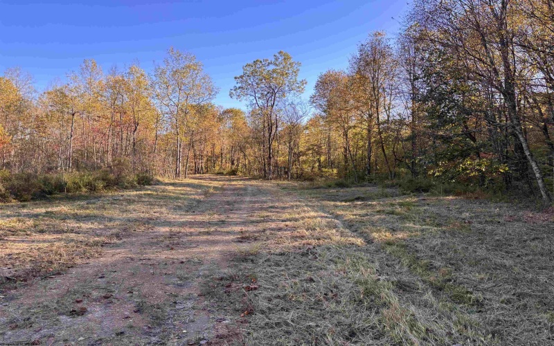 Lot 13 Island Road, Junior, West Virginia 26275, ,Lots/land,For Sale,Island,10162028