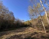 Lot 13 Island Road, Junior, West Virginia 26275, ,Lots/land,For Sale,Island,10162028