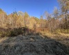Lot 13 Island Road, Junior, West Virginia 26275, ,Lots/land,For Sale,Island,10162028