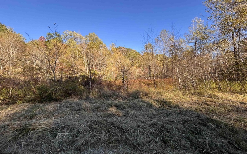 Lot 13 Island Road, Junior, West Virginia 26275, ,Lots/land,For Sale,Island,10162028