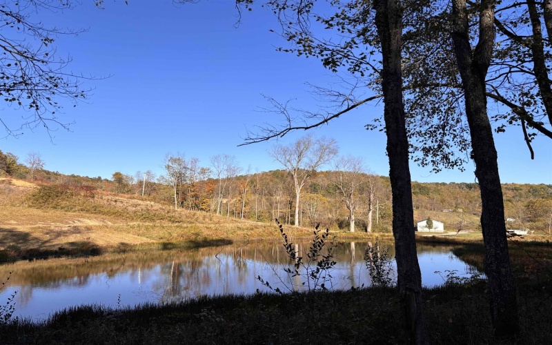 Lot 13 Island Road, Junior, West Virginia 26275, ,Lots/land,For Sale,Island,10162028