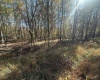 470 Redwood Drive, Terra Alta, West Virginia 26764, ,Lots/land,For Sale,Redwood,10162045 470 Redwood Drive, Terra Alta, West Virginia 26764, ,Lots/land,For Sale,Redwood,10162045