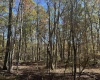 470 Redwood Drive, Terra Alta, West Virginia 26764, ,Lots/land,For Sale,Redwood,10162045 470 Redwood Drive, Terra Alta, West Virginia 26764, ,Lots/land,For Sale,Redwood,10162045