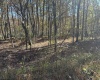 470 Redwood Drive, Terra Alta, West Virginia 26764, ,Lots/land,For Sale,Redwood,10162045 470 Redwood Drive, Terra Alta, West Virginia 26764, ,Lots/land,For Sale,Redwood,10162045