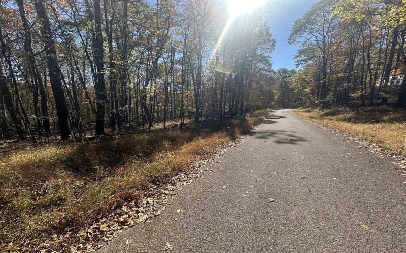 470 Redwood Drive, Terra Alta, West Virginia 26764, ,Lots/land,For Sale,Redwood,10162045 470 Redwood Drive, Terra Alta, West Virginia 26764, ,Lots/land,For Sale,Redwood,10162045