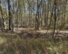 470 Redwood Drive, Terra Alta, West Virginia 26764, ,Lots/land,For Sale,Redwood,10162045 470 Redwood Drive, Terra Alta, West Virginia 26764, ,Lots/land,For Sale,Redwood,10162045