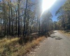470 Redwood Drive, Terra Alta, West Virginia 26764, ,Lots/land,For Sale,Redwood,10162045 470 Redwood Drive, Terra Alta, West Virginia 26764, ,Lots/land,For Sale,Redwood,10162045