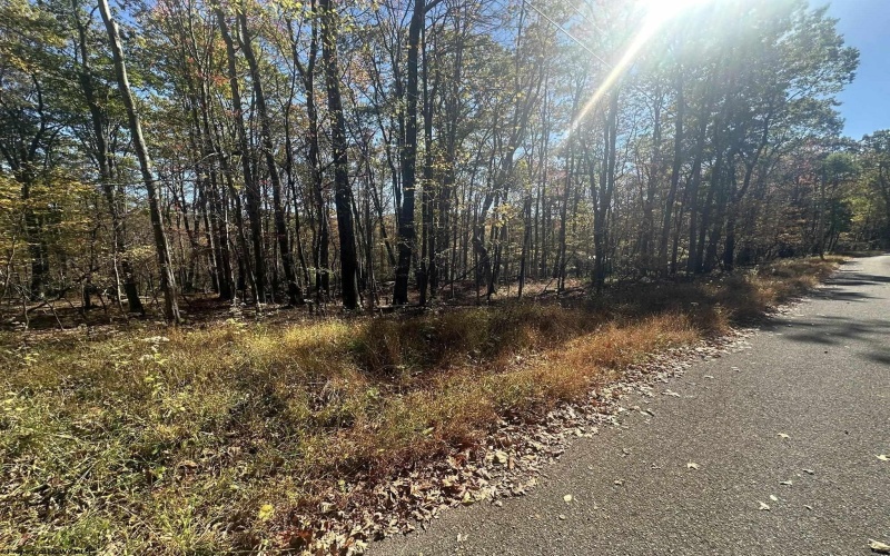470 Redwood Drive, Terra Alta, West Virginia 26764, ,Lots/land,For Sale,Redwood,10162045 470 Redwood Drive, Terra Alta, West Virginia 26764, ,Lots/land,For Sale,Redwood,10162045