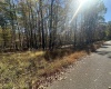 470 Redwood Drive, Terra Alta, West Virginia 26764, ,Lots/land,For Sale,Redwood,10162045 470 Redwood Drive, Terra Alta, West Virginia 26764, ,Lots/land,For Sale,Redwood,10162045