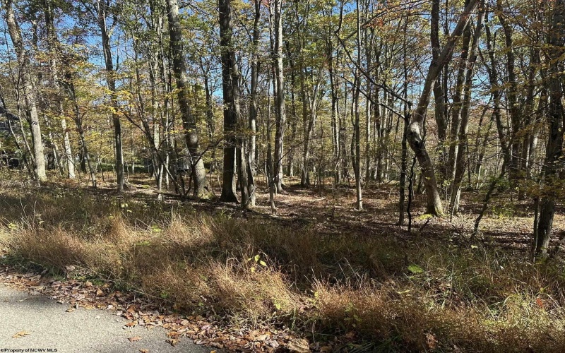 470 Redwood Drive, Terra Alta, West Virginia 26764, ,Lots/land,For Sale,Redwood,10162045 470 Redwood Drive, Terra Alta, West Virginia 26764, ,Lots/land,For Sale,Redwood,10162045