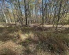 470 Redwood Drive, Terra Alta, West Virginia 26764, ,Lots/land,For Sale,Redwood,10162045 470 Redwood Drive, Terra Alta, West Virginia 26764, ,Lots/land,For Sale,Redwood,10162045