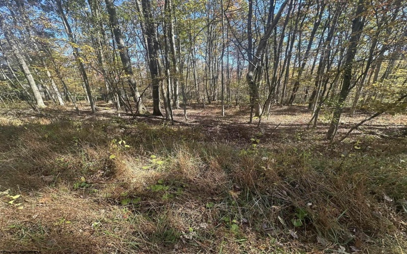 470 Redwood Drive, Terra Alta, West Virginia 26764, ,Lots/land,For Sale,Redwood,10162045 470 Redwood Drive, Terra Alta, West Virginia 26764, ,Lots/land,For Sale,Redwood,10162045