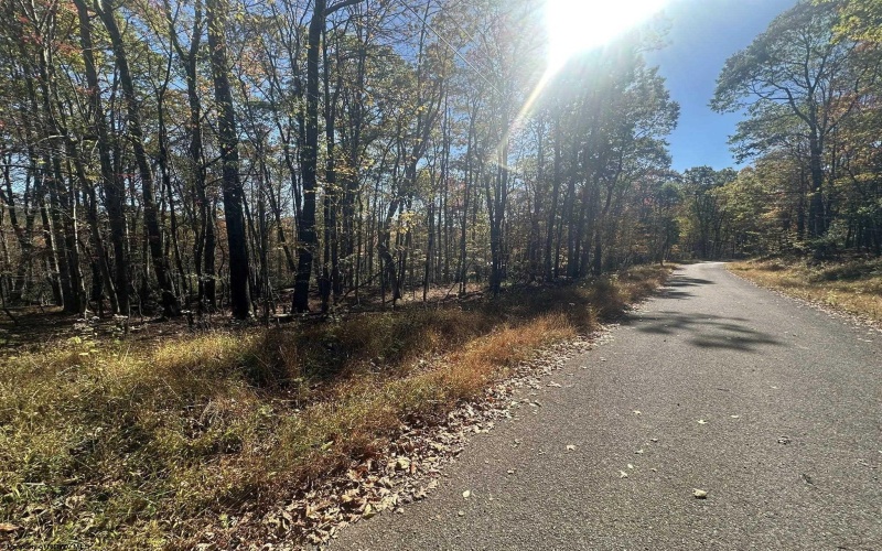 470 Redwood Drive, Terra Alta, West Virginia 26764, ,Lots/land,For Sale,Redwood,10162045 470 Redwood Drive, Terra Alta, West Virginia 26764, ,Lots/land,For Sale,Redwood,10162045