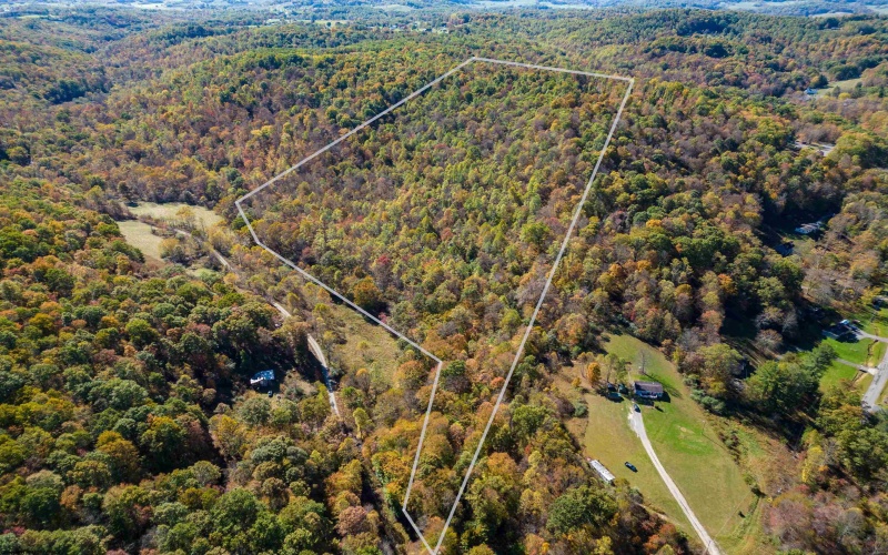 TBD Tappan Road, Bridgeport, West Virginia 26330, ,Lots/land,For Sale,Tappan,10162026