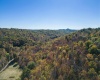 TBD Tappan Road, Bridgeport, West Virginia 26330, ,Lots/land,For Sale,Tappan,10162026