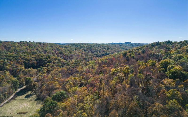 TBD Tappan Road, Bridgeport, West Virginia 26330, ,Lots/land,For Sale,Tappan,10162026