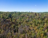 TBD Tappan Road, Bridgeport, West Virginia 26330, ,Lots/land,For Sale,Tappan,10162026