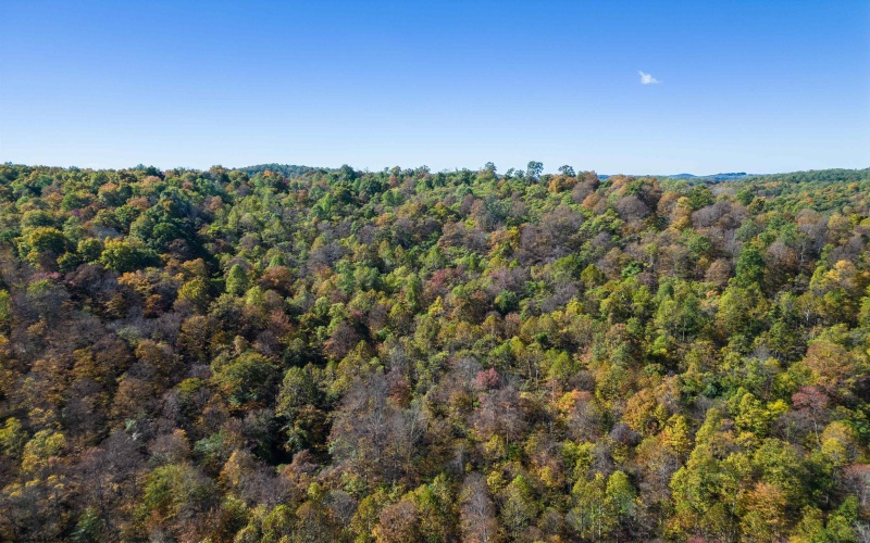 TBD Tappan Road, Bridgeport, West Virginia 26330, ,Lots/land,For Sale,Tappan,10162026