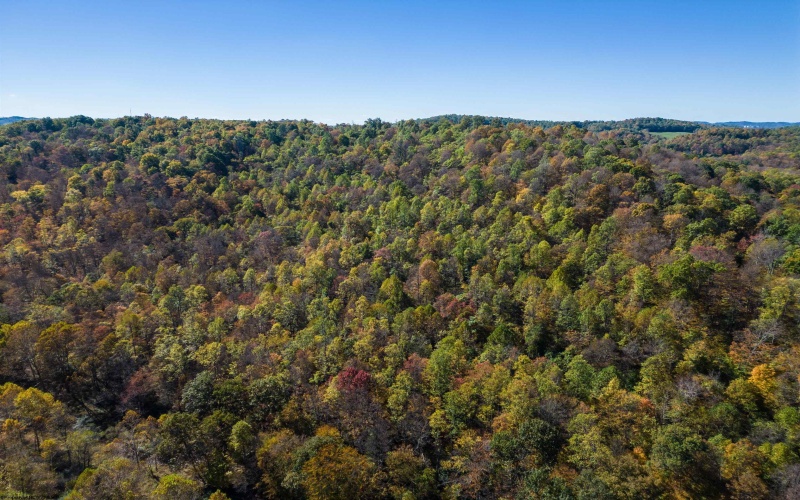 TBD Tappan Road, Bridgeport, West Virginia 26330, ,Lots/land,For Sale,Tappan,10162026