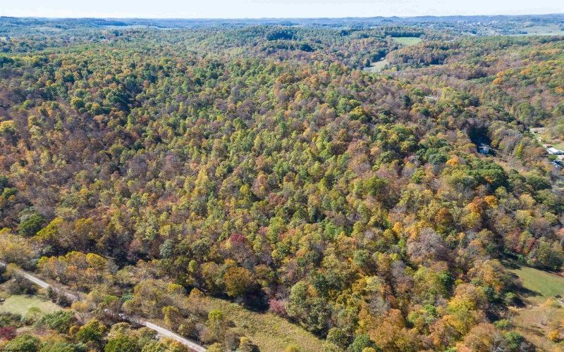 TBD Tappan Road, Bridgeport, West Virginia 26330, ,Lots/land,For Sale,Tappan,10162026