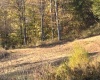 Lot 12 Island Road, Junior, West Virginia 26275, ,Lots/land,For Sale,Island,10162027