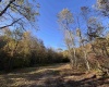 Lot 12 Island Road, Junior, West Virginia 26275, ,Lots/land,For Sale,Island,10162027