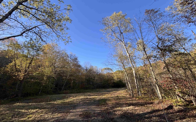 Lot 12 Island Road, Junior, West Virginia 26275, ,Lots/land,For Sale,Island,10162027