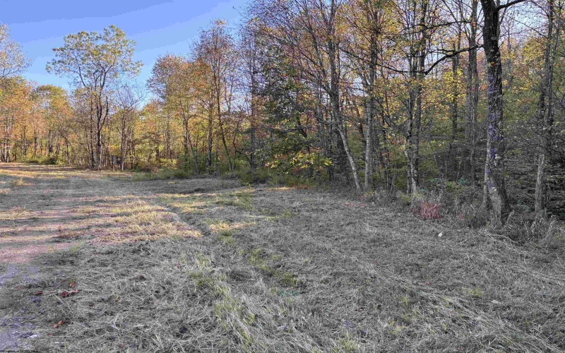 Lot 12 Island Road, Junior, West Virginia 26275, ,Lots/land,For Sale,Island,10162027