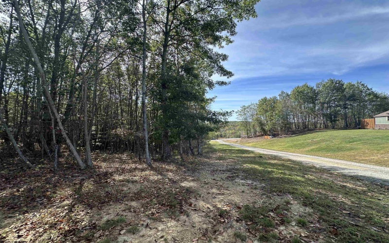 00 Briar Ridge Lane, Ellamore, West Virginia 26267, ,Lots/land,For Sale,Briar Ridge,10162063 00 Briar Ridge Lane, Ellamore, West Virginia 26267, ,Lots/land,For Sale,Briar Ridge,10162063
