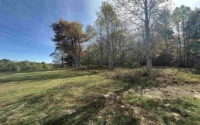 00 Briar Ridge Lane, Ellamore, West Virginia 26267, ,Lots/land,For Sale,Briar Ridge,10162063 00 Briar Ridge Lane, Ellamore, West Virginia 26267, ,Lots/land,For Sale,Briar Ridge,10162063