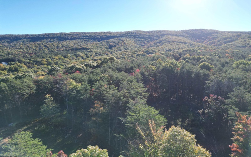 Lot 227 Black Oak Drive, Moorefield, West Virginia 26836, ,Lots/land,For Sale,Black Oak,10162082