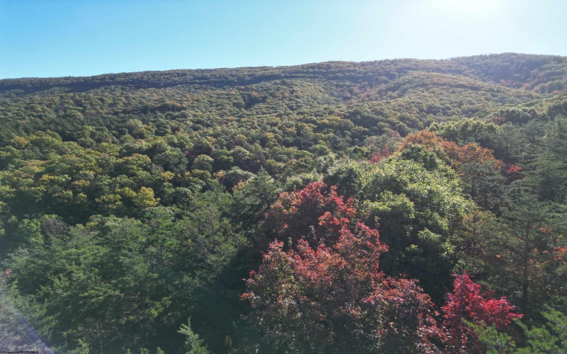 Lot 227 Black Oak Drive, Moorefield, West Virginia 26836, ,Lots/land,For Sale,Black Oak,10162082