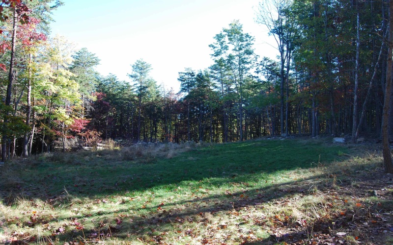 Lot 227 Black Oak Drive, Moorefield, West Virginia 26836, ,Lots/land,For Sale,Black Oak,10162082