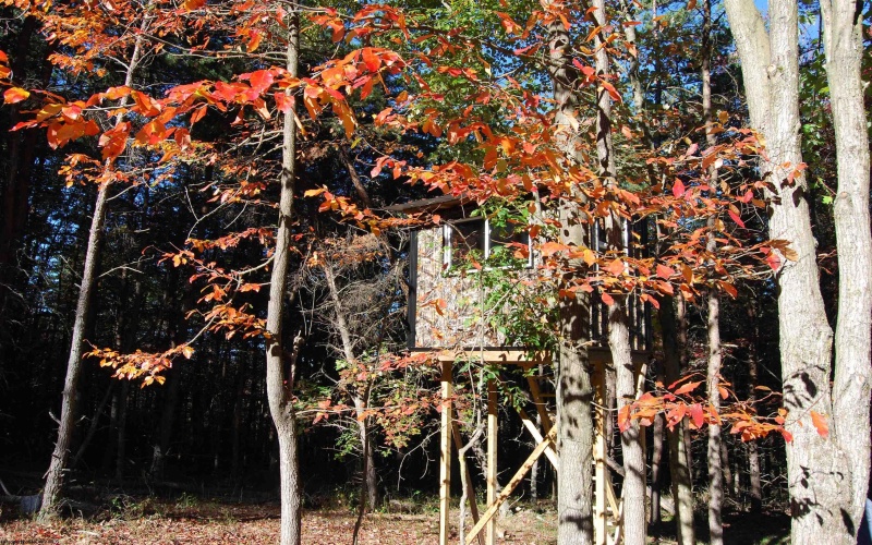 Lot 227 Black Oak Drive, Moorefield, West Virginia 26836, ,Lots/land,For Sale,Black Oak,10162082