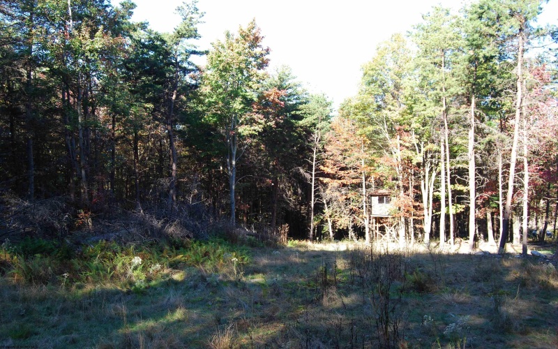 Lot 227 Black Oak Drive, Moorefield, West Virginia 26836, ,Lots/land,For Sale,Black Oak,10162082