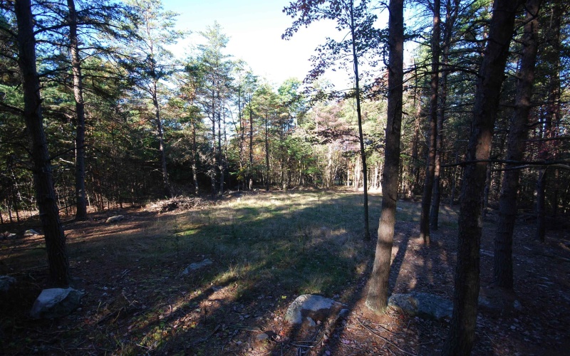 Lot 227 Black Oak Drive, Moorefield, West Virginia 26836, ,Lots/land,For Sale,Black Oak,10162082
