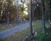 Lot 227 Black Oak Drive, Moorefield, West Virginia 26836, ,Lots/land,For Sale,Black Oak,10162082