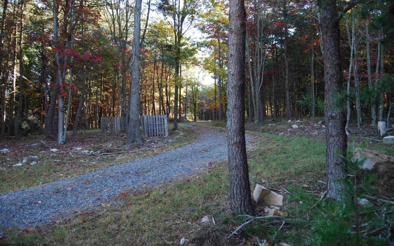 Lot 227 Black Oak Drive, Moorefield, West Virginia 26836, ,Lots/land,For Sale,Black Oak,10162082