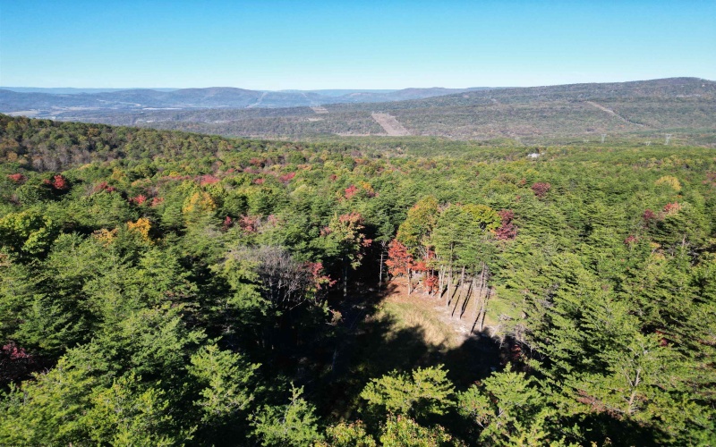 Lot 227 Black Oak Drive, Moorefield, West Virginia 26836, ,Lots/land,For Sale,Black Oak,10162082