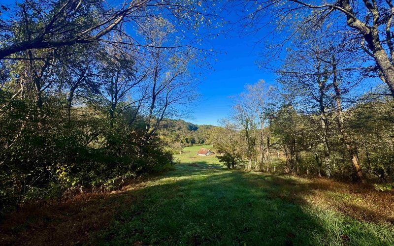 Tract 2 Hackers Creek Road, Buckhannon, West Virginia 26201, ,Lots/land,For Sale,Hackers Creek,10162080