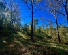 Tract 2 Hackers Creek Road, Buckhannon, West Virginia 26201, ,Lots/land,For Sale,Hackers Creek,10162080