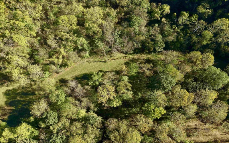 Tract 2 Hackers Creek Road, Buckhannon, West Virginia 26201, ,Lots/land,For Sale,Hackers Creek,10162080