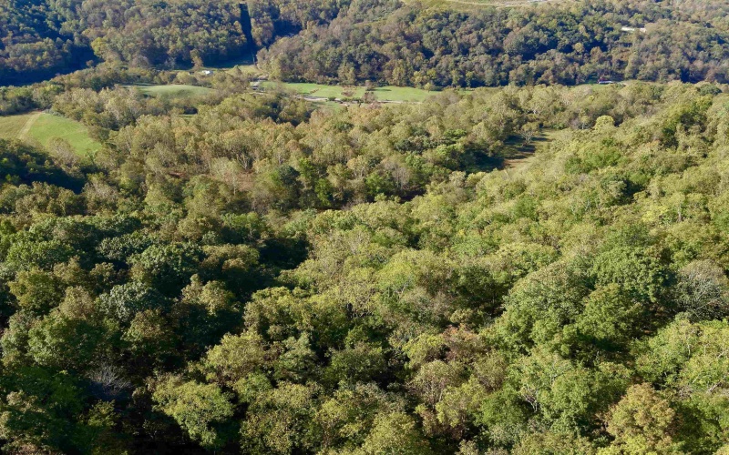 Tract 2 Hackers Creek Road, Buckhannon, West Virginia 26201, ,Lots/land,For Sale,Hackers Creek,10162080