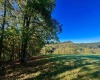 Tract 2 Hackers Creek Road, Buckhannon, West Virginia 26201, ,Lots/land,For Sale,Hackers Creek,10162080