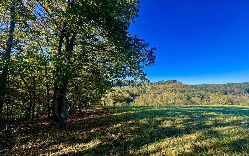 Tract 2 Hackers Creek Road, Buckhannon, West Virginia 26201, ,Lots/land,For Sale,Hackers Creek,10162080