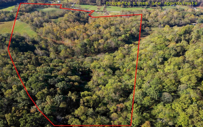 Tract 2 Hackers Creek Road, Buckhannon, West Virginia 26201, ,Lots/land,For Sale,Hackers Creek,10162080