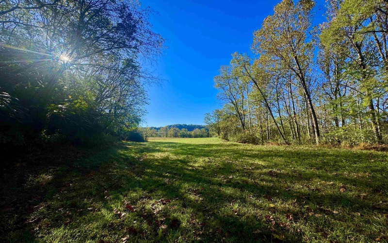 Tract 2 Hackers Creek Road, Buckhannon, West Virginia 26201, ,Lots/land,For Sale,Hackers Creek,10162080